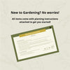 Creeping Rosemary Shrub (4-Pack)